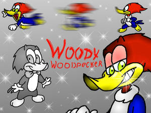 Free Woody Woodpecker Hd You Can See And Find A Picture Wallpaper