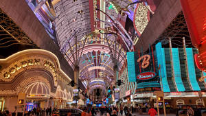 Fremont Street Lovely Ceiling Wallpaper