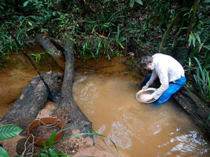 French Guiana Coltan Mining Wallpaper