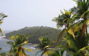 French Guiana River Wallpaper