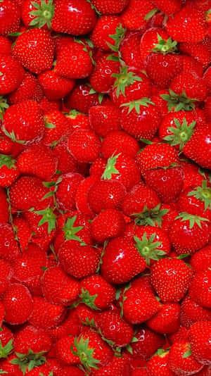 “fresh And Delicious Cute Strawberries” Wallpaper