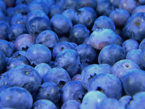 Fresh Blueberries Amidst Nature Wallpaper