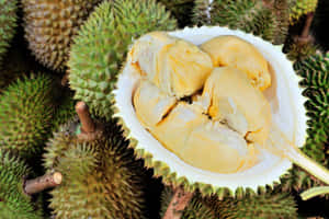 Fresh Durian Fruit Opened Wallpaper