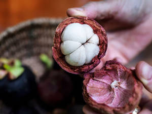 Fresh Mangosteen - The Exotic Queen Of Fruits Wallpaper