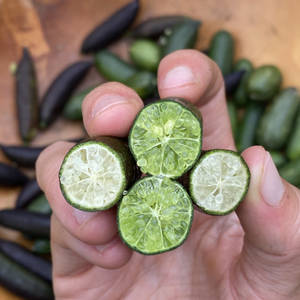 Freshly Opened Finger Limes Held In Hand Wallpaper