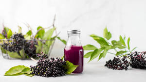 Freshly Picked Elderberry And Juice Wallpaper