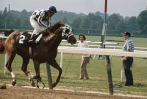 Friendly Secretariat Wallpaper