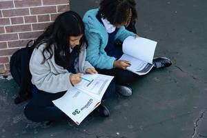 Friends Studying Together As Study Motivation Wallpaper