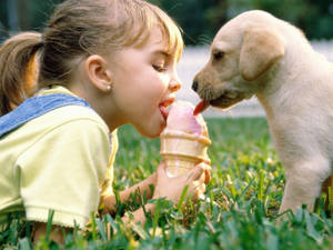 Friendship Of Girl And Puppy Wallpaper