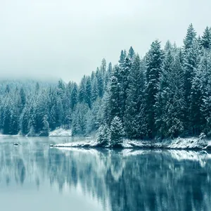 Frosted Lake View Ipad Mini Wallpaper