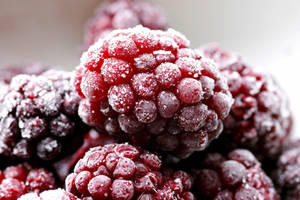 Frozen Dark Red Raspberries Wallpaper