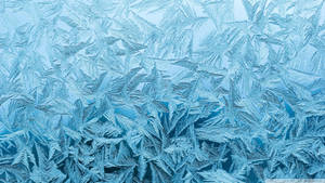 Frozen Glass Snowflakes Wallpaper