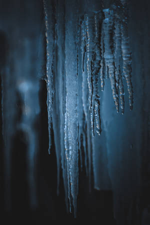 Frozen Icicles In Dark Wallpaper
