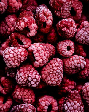 Frozen Raspberry Fruit Wallpaper