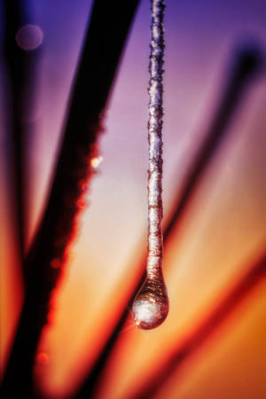 Frozen Water Droplet Wallpaper