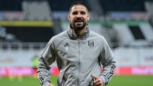 Fulham Fc Adidas Sweater. Wallpaper