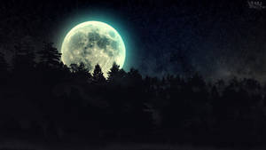 Full Moon Dark Forest Wallpaper