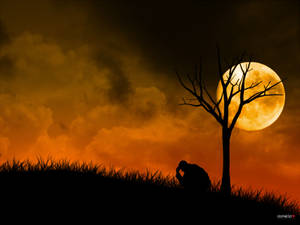 Full Moon In So Sad Scenery Wallpaper