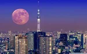 Full Moon Lights Up Tokyo City Sky Wallpaper
