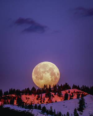 Full Moon Over Snowy Landscape Wallpaper