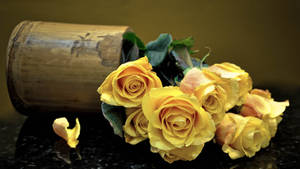 Full Screen 4k Flowers Yellow Roses Wallpaper