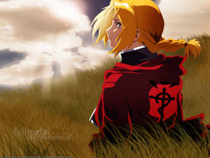 Fullmetal Alchemist Edward Elric On Grass Wallpaper
