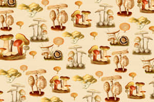 Fungus Vintage Poster Digital Art Wallpaper