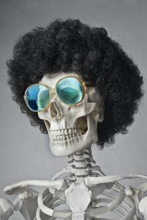 Funky Skeleton With Wig Wallpaper