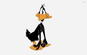 Funny Look Of Daffy Duck Wallpaper