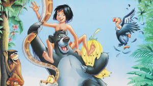 Funny The Jungle Book Wallpaper