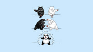Fusion Panda Humor Wallpaper