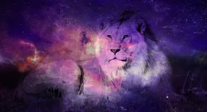 Galaxy Lion Overlay Wallpaper