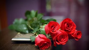 Gallery Of 42 Cool Rose Background, Wallpaper. B.scb Wallpaper Wallpaper