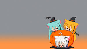 Gambar Anime Cat Girls With Pumpkin Wallpaper