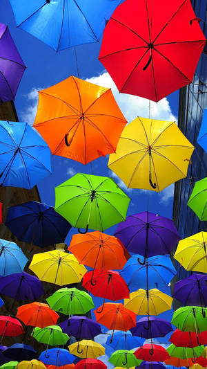 Gambar Colorful Umbrellas Wallpaper