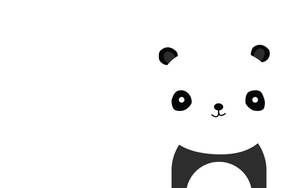 Gambar Panda On White Wallpaper