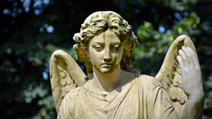 Garden Angel Sculpture Wallpaper