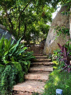 Garden Stairs Best Hd Wallpaper