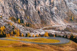 Gardena Pass Best Autumn Wallpaper