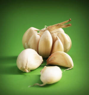 Garlic Vegetable Herb On Green Backdrop Wallpaper