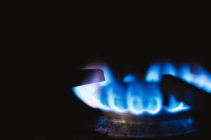 Gas Burner Blue Fire Wallpaper