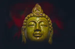 Gautam Buddha Green Ceramic Statue Wallpaper