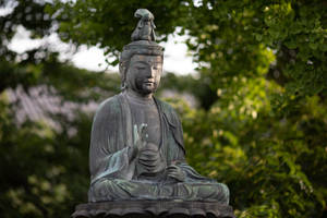 Gautam Buddha Seated Statue Wallpaper