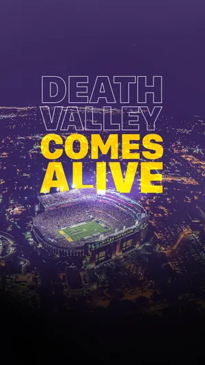 Geaux Tigers! Wallpaper