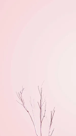 Gentle Pink And White Flower Petals Swirl Around In The Wind Wallpaper