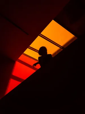 Geometric Shadow Silhouette Wallpaper