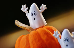 Get In The Halloween Spirit With These Ghostly Blanket Figurines! Wallpaper