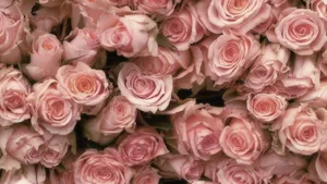 Get Inspired With A Beautiful Pink Vintage Aesthetic Wallpaper