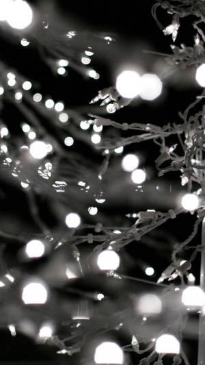 Get Into The Festive Holiday Spirit With These Beautiful Christmas Lights! Wallpaper