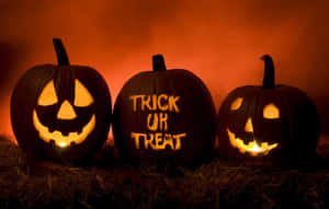 Get Into The Halloween Spirit! Wallpaper